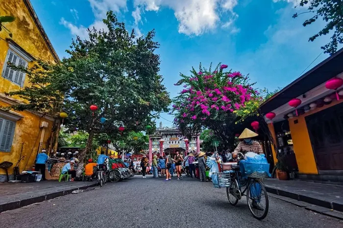 Hoa giấy đua nhau khoe sắc trên từng con đường, ngõ nhỏ, vẽ nên khung cảnh giản dị, bình yên